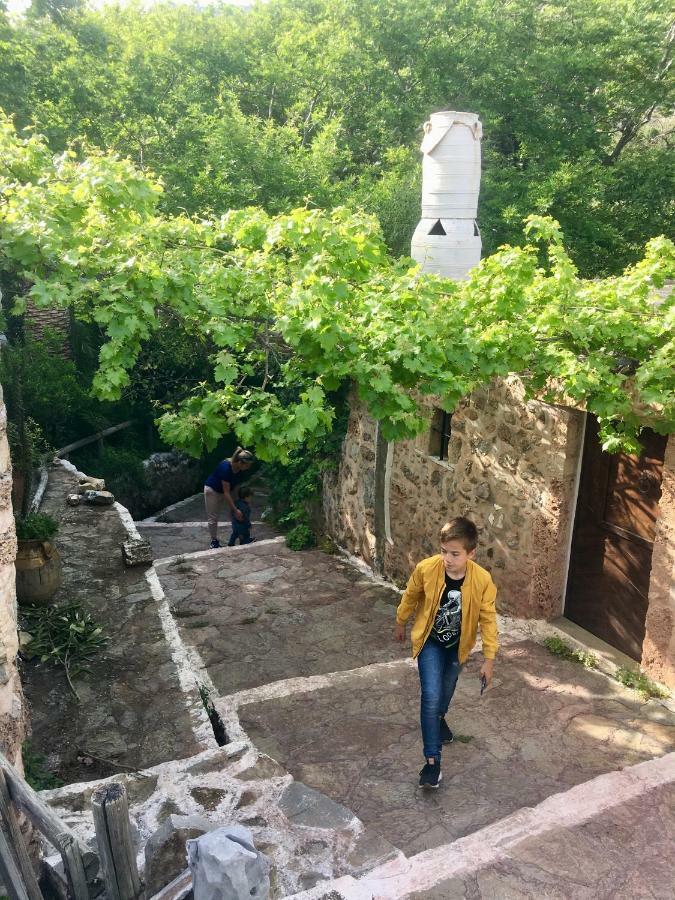 Helen House Daire Káto Zákros Dış mekan fotoğraf