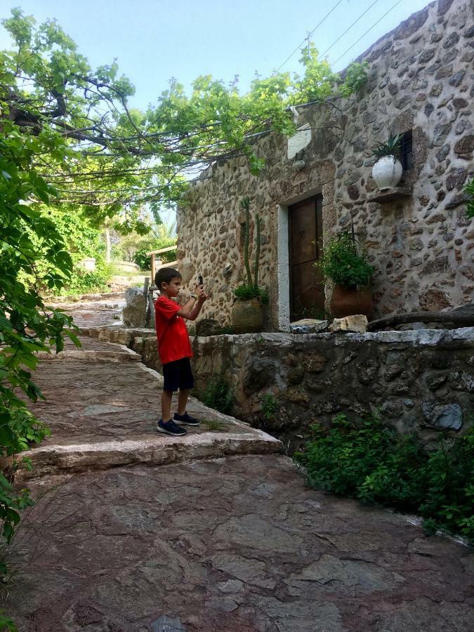 Helen House Daire Káto Zákros Dış mekan fotoğraf